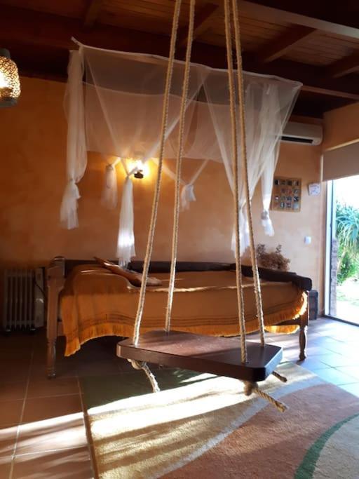 Casat5, Ferias, Piscina Privativa. Agueda, Aveiro Villa Bagian luar foto