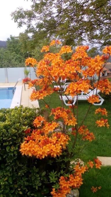 Casat5, Ferias, Piscina Privativa. Agueda, Aveiro Villa Bagian luar foto